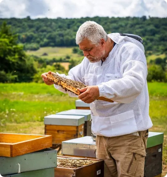 Samuel au travail dans son rucher en Normandie